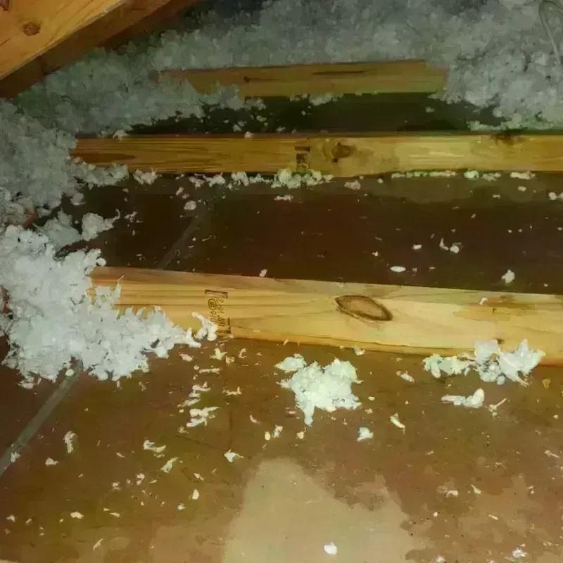 Attic Water Damage in Fredonia, WI