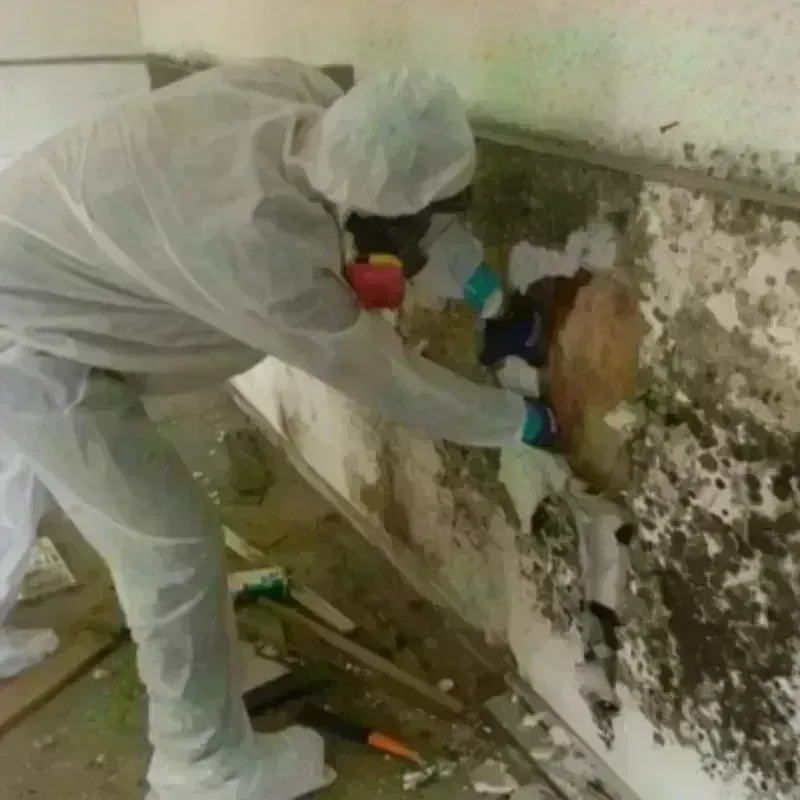 Mold Remediation and Removal in Fredonia, WI