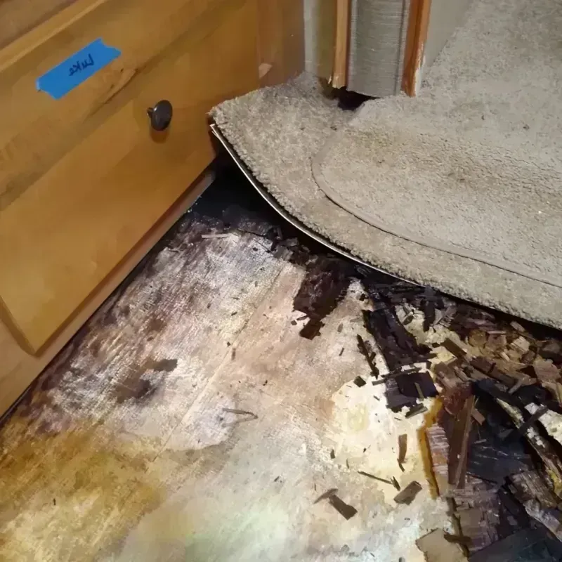 Best Wood Floor Water Damage Service in Fredonia, WI